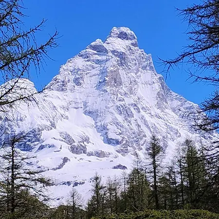 Myka Cervinia *